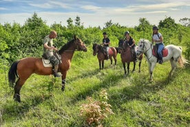 From Belgade: Mtn. Kosmaj Horse riding & hike Full-Day Tour