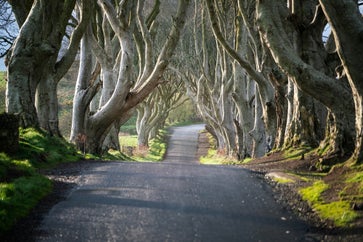 Ireland in June: When the Emerald Isle is Greener