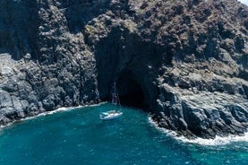 Excursión en yate para avistamiento de ballenas y snorkel en Tenerife