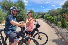 Tour en bicicleta eléctrica en la Piana degli Ulivi de Ostuni