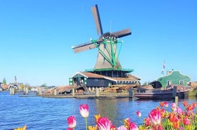 Private tour to Zaanse Schans &Volendam: Cheese, Windmills, clogs