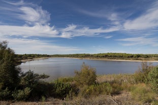 Laguna de El Portil