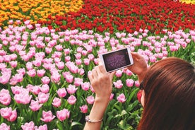 From Amsterdam: Keukenhof Tulips, Windmills & Volendam