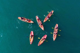 3 horas de caiaque na Baía de Kotor em Montenegro