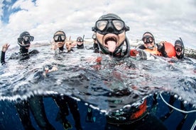 Freediving Courses