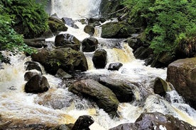 Torc waterfall & mountain hike. Kerry. Private guided.