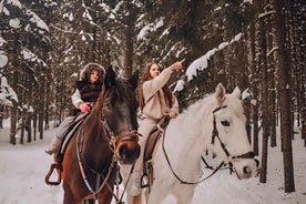 Rovaniemi: Winter Horse Riding in Arctic Nature