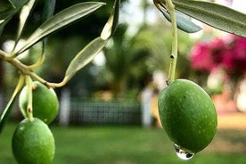 Olivenolje smaker og kulinarisk dagstur i Carmona