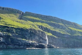 Excursion en bateau de 2 heures sur les îles Féroé