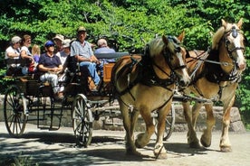 Gastronomische tour met paardenkoets en optioneel bezoek aan een natuurobservatorium