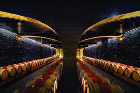 Douro Valley Wine Tour