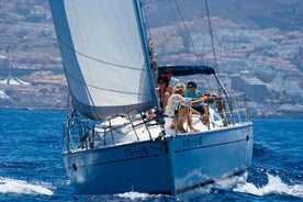 Recorrido en barco de lujo de 3 horas en Tenerife con baño y comida a bordo