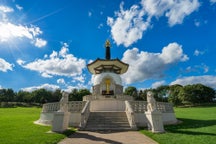 Bedste pakkerejser i Milton Keynes, i England