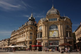 Excursão a pé privada em Montpellier com um guia profissional