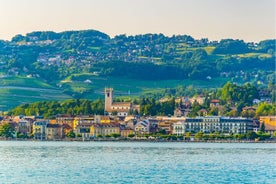 Private Tour to Gruyeres Vevey Montreux and Fribourg from Lucerne