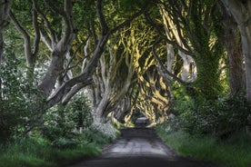 Game of Thrones og Giant's Causeway, heldagstur fra Belfast