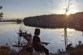 Private Guided Discovery Walk in the Cairngorms