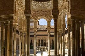 Visite privée/en petit groupe de l’Alhambra et des palais nasrides avec billet coupe-file