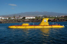 Tour sous-marin Tenerife : une expérience sous-marine d'une heure