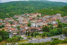 I migliori pacchetti vacanze a Neos Panteleimonas, Grecia