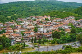 Photo of panoramic aerial view of Neos Panteleimonas beautiful town in south Pieria, Central Macedonia, Greece.