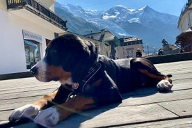 Visite guidée d'une journée de Genève à Chamonix Mont Blanc