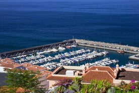 photo of aerial shot of Costa Adeje area, South Tenerife, Spain. Captured at golden hour, warm and vivid sunset colors. Luxury hotels, villas and restaurants behind the beach.