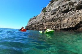 Seaview Board에 의한 Sesimbra