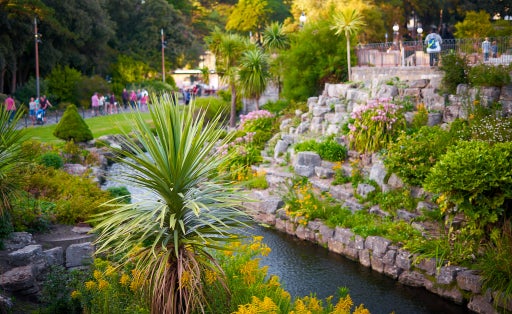 Photo of Bournemouth Lower Gardens. Tropical Palm on beautifully landscaped coastal garden background.