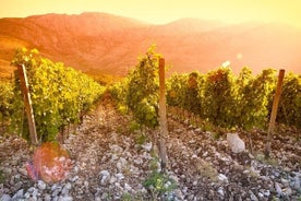 Strada del vino dell'Erzegovina in un tour giornaliero da Mostar