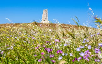 Torre del Serpe