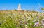 Torre del Serpe ("snake tower") is a coastal tower built in Roman times and enhanced by Frederick II, on the Adriatic coast of Salento (Puglia, Italy). The name is due to a legend. Otranto, Italy.