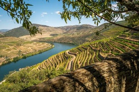 Tour privato con 3 cantine e punto panoramico