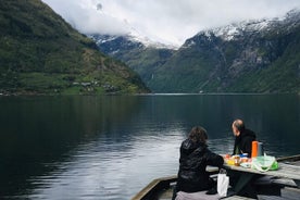 Tour privado de Ålesund a Geiranger até 15 pessoas