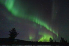 Northern Lights with Reindeer Sleigh Ride in Jukkasjärvi