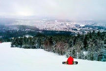 Hotele i obiekty noclegowe w Kongsberg, w Norwegii