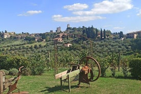 TOUR PRIVADO "Sweet Hills of Chianti y San Gimignano" con almuerzo y 2 degustaciones