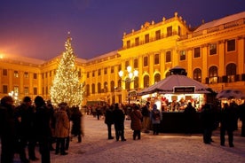 Full Day Private Vienna Christmas Market tour from Budapest with lunch