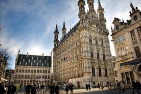 Private Tour - Leuven: university flair, beer and gorgeous architecture