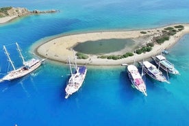 Excursion en bateau jusqu'aux 12 îles avec déjeuner