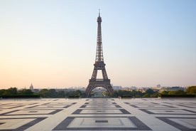 Accesso alla Torre Eiffel al 2° piano e alla cima con guida