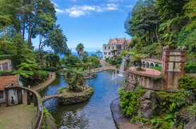 Aerial drone view of Camara de Lobos village, Madeira.