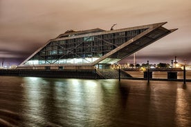 Tour delle luci attraverso il porto di Amburgo e il quartiere storico dei magazzini