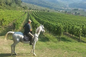 Paseo a caballo y cocina gourmet en una tienda de alimentación histórica.