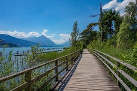 Odkryj sztukę i kulturę Interlaken z lokalnym przewodnikiem