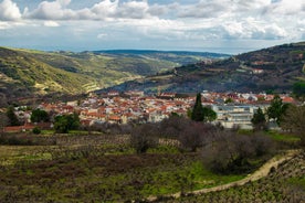 Cyprus: Troodos Mountain Food & Wine Tasting Tour with Lunch