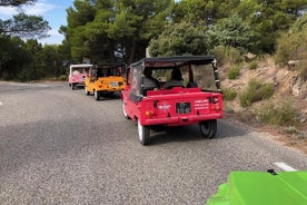 Private excursion from Nice of the Esterel Massif in Citroen Mehari