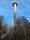 photo of Esterliturm tower offers a panoramic view from the Black Forest to the Alps in Lenzburg, Switzerland.