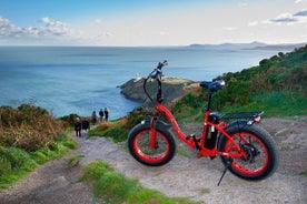 Tour panorámico en bicicleta eléctrica por Dublín con Howth Adventures