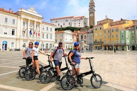 Visite en vélo électrique de la côte slovène avec transfert depuis Ljubljana